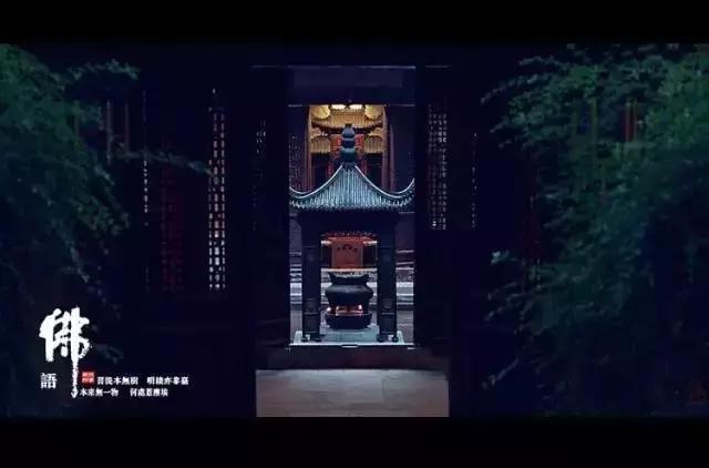 仓央嘉措的回声: 你的心,在污泥里开出一朵莲花 仓央嘉措的回声: 你的心,在污泥里开出一朵莲花