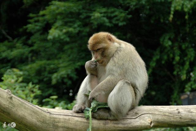 机会是给马上行动，懂得坚持的人准备的