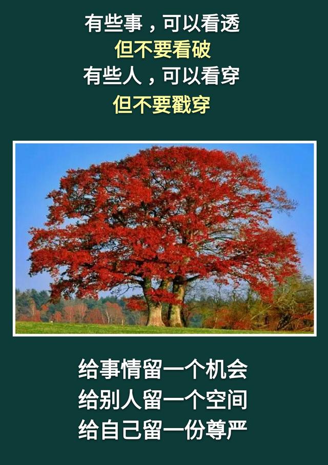 人活着：不累，是木头；不痛，是砖头；不苦，是石头