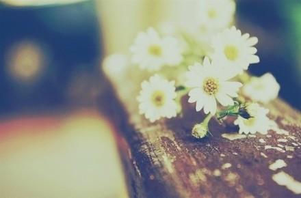 QQ空间感悟人生的经典说说带图片 QQ空间感悟人生的经典说说带图片