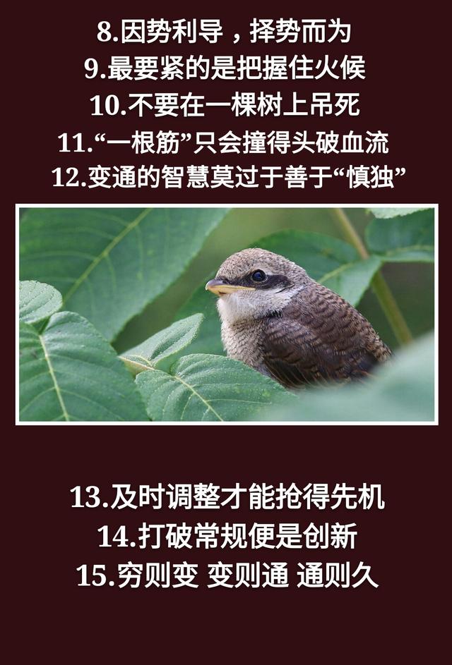 为人处事：一孝，二忍，三稳，四藏，五变，六防，七退