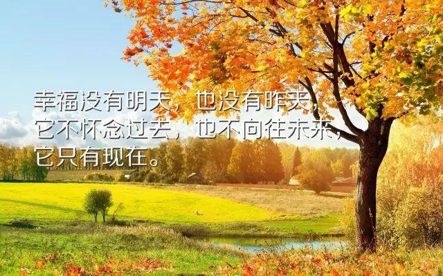 深刻透彻的一句话经典语录，字字珠玑，值得珍藏
