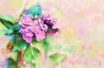 搜集到的伤感句子语录
