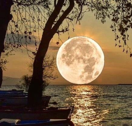 从三毛的经典美句中，感受她如水般的柔情