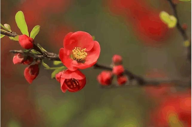 14句话，很深刻，句句是人生