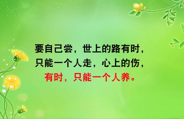 泪水,要自己擦,风雨,要自己挡,滋味,要自己尝(扛住,挺住) 泪水,要自己擦,风雨,要自己挡,滋味,要自己尝(扛住,挺住)