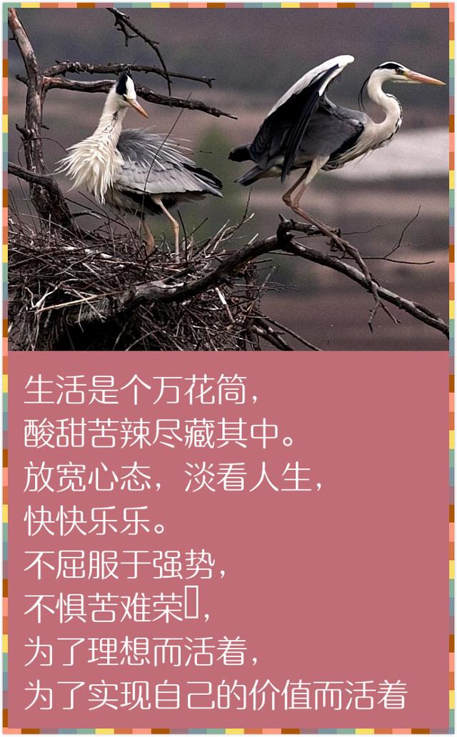 人生在世，除了生死，都是小事（精辟到骨子里）