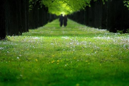小清新温馨的爱情语录