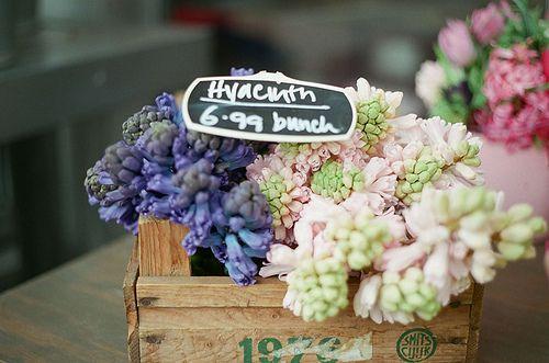 朋友圈充满正能量的情感语录