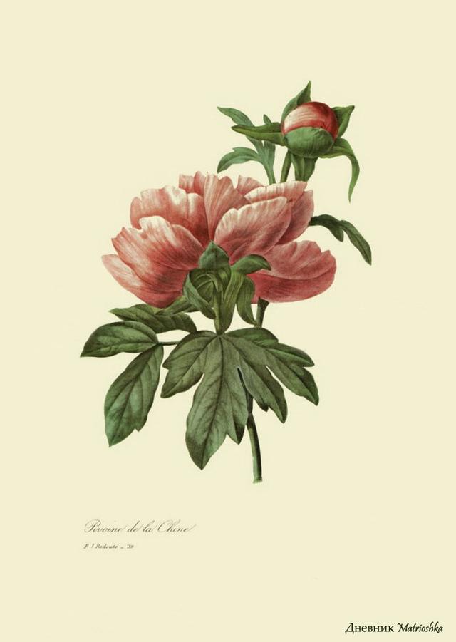 精辟到噎死人的经典语录,透彻至极 精辟到噎死人的经典语录,透彻至极