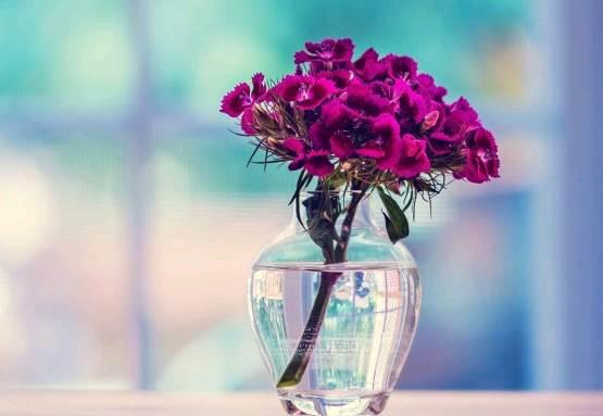 文艺范经典人生感悟图片说说短语 文艺范经典人生感悟图片说说短语