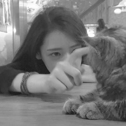 早点释怀，早点睡觉，想得太多会毁了你