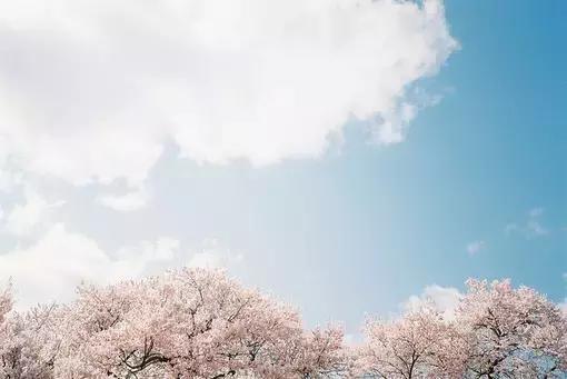 一个人最好的修养