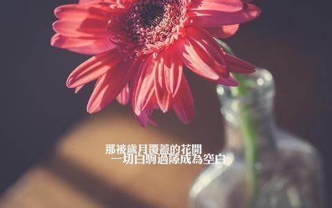 珍惜你现在所拥有的，在他们变成曾经拥有前