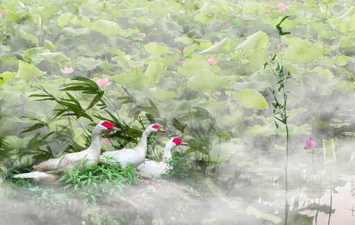 事不三思总有败 人能百忍自无忧 事不三思总有败 人能百忍自无忧