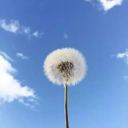 感悟人生的经典语录，富有哲理，值得回味