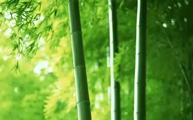 人，活的是一种尊严