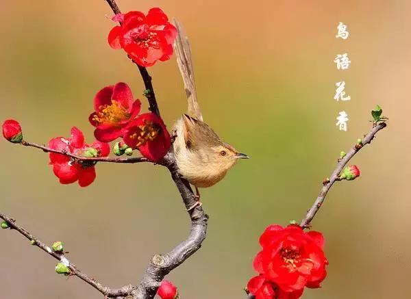 金子般的10句话，送给你