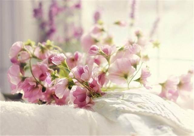 微信里那些说到心坎的一句话经典语录 微信里那些说到心坎的一句话经典语录