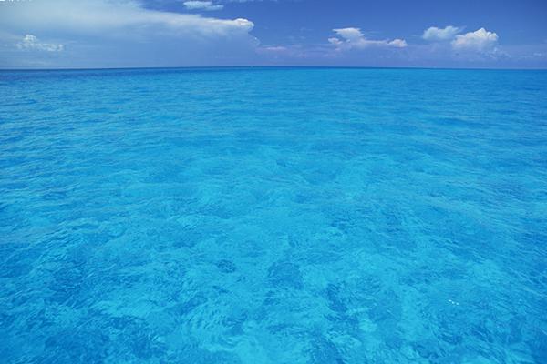 或许，这就是幸福