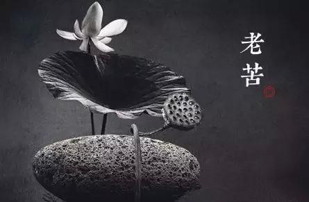 人生有八苦，说的真好
