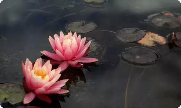 做人难不难，自己说了算