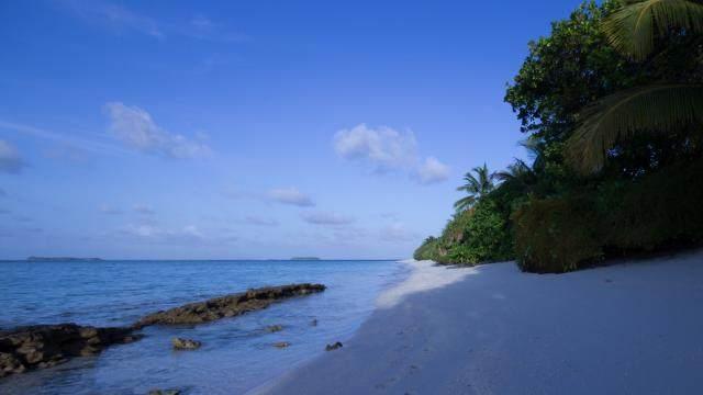 十句最经典的人生感悟正能量语录 十句最经典的人生感悟正能量语录