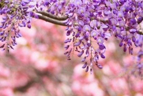 任何梦想，都需要脚踏实地的去实现