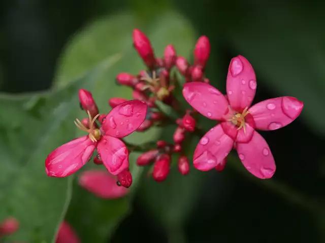 说好天长地久，不过是曾经拥有；坚信一生相守，却只是短暂邂逅