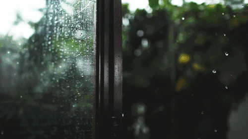 夏日，聆听雨落