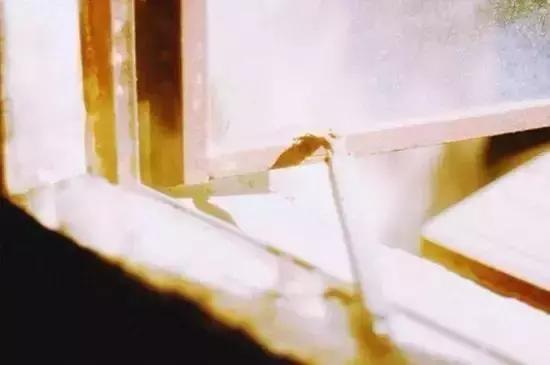 人生独处是清欢