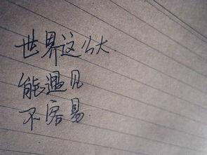 奇葩说高晓松经典语录