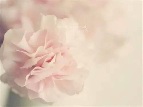 心情语录：为了等你，我错过了等我的人