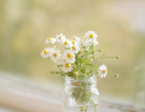 一句话最经典的人生哲理语录