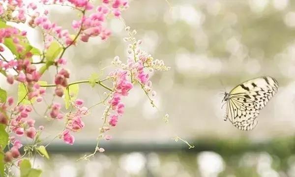 好棒的一段话！（句句戳心）