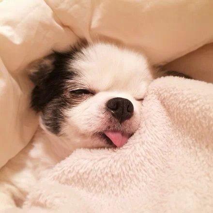 精选微信朋友圈语录 精选微信朋友圈语录