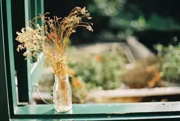 谁愿遇见,渐行渐远渐无书 谁愿遇见,渐行渐远渐无书