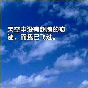 那些好评如潮的经典台词语录