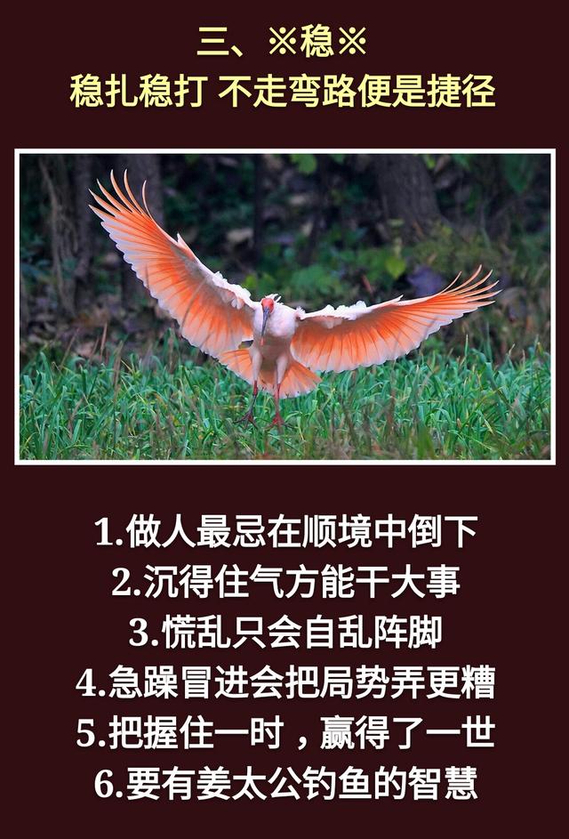 为人处事：一孝，二忍，三稳，四藏，五变，六防，七退