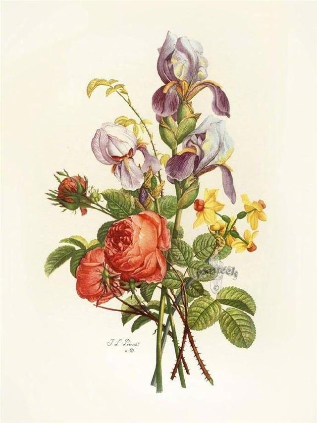 梁文道16句:无时无刻不在要求自己进步,自然就有了教养 梁文道16句:无时无刻不在要求自己进步,自然就有了教养