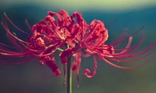 学会放手,幸福需要自己成全 学会放手,幸福需要自己成全