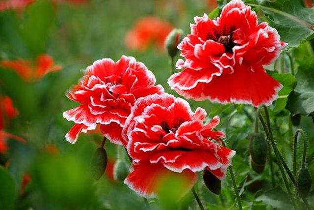 不想跌倒的最好办法