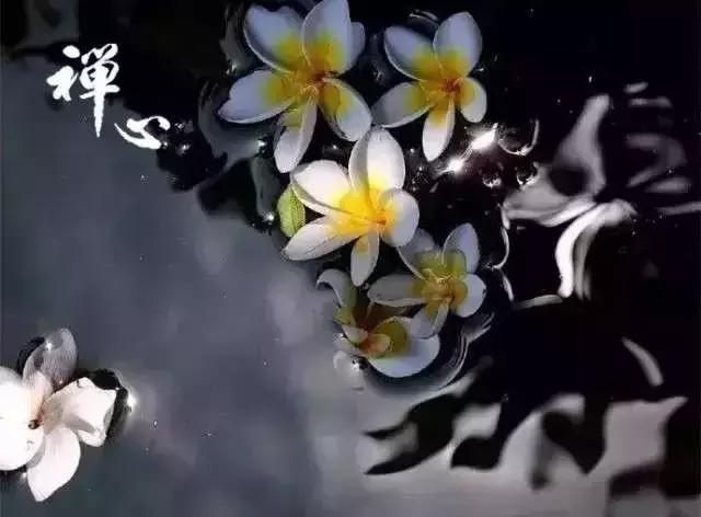 佛说：付出，不要后悔，失去，也不要遗憾