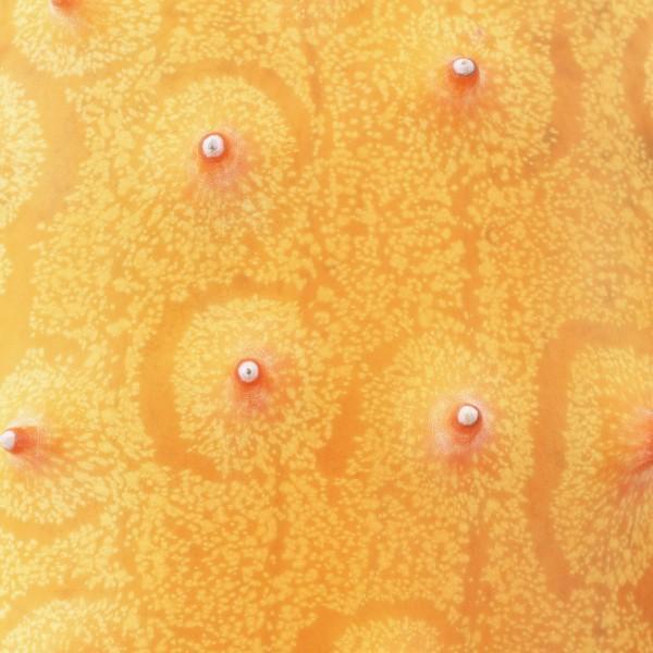 人生，糊涂难得，难得糊涂