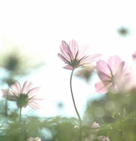 心如何，人就如何，世界就如何