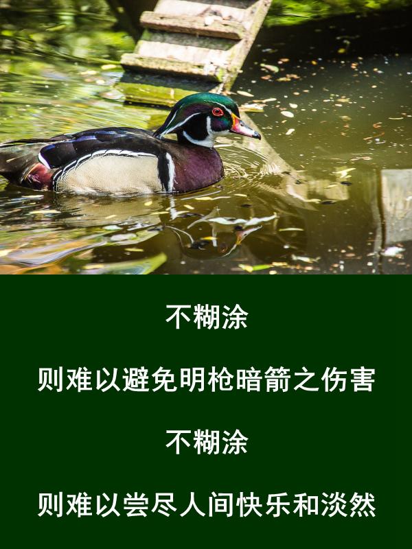 做人，难得糊涂，贵在糊涂，乐在糊涂，成在糊涂，学会糊涂