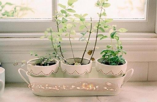 对现实生活感悟的唯美语录