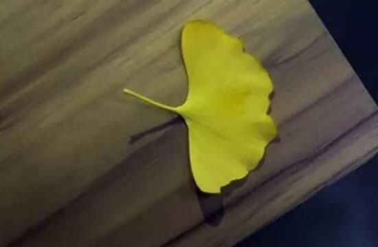 累吗？累，就打开看看
