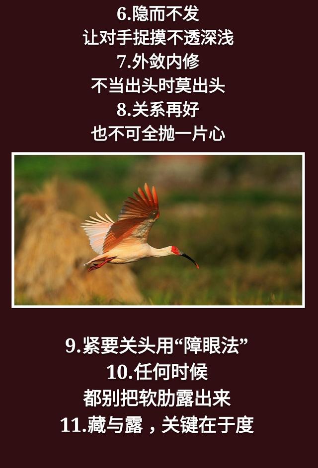 为人处事：一孝，二忍，三稳，四藏，五变，六防，七退