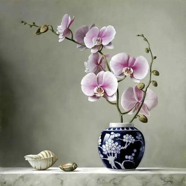 《倾城之恋》：花落自会又花开